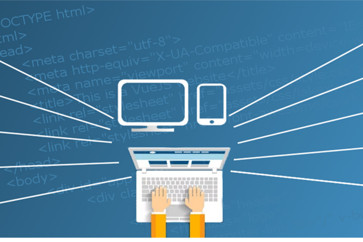 Lessons from My First Web Development Job