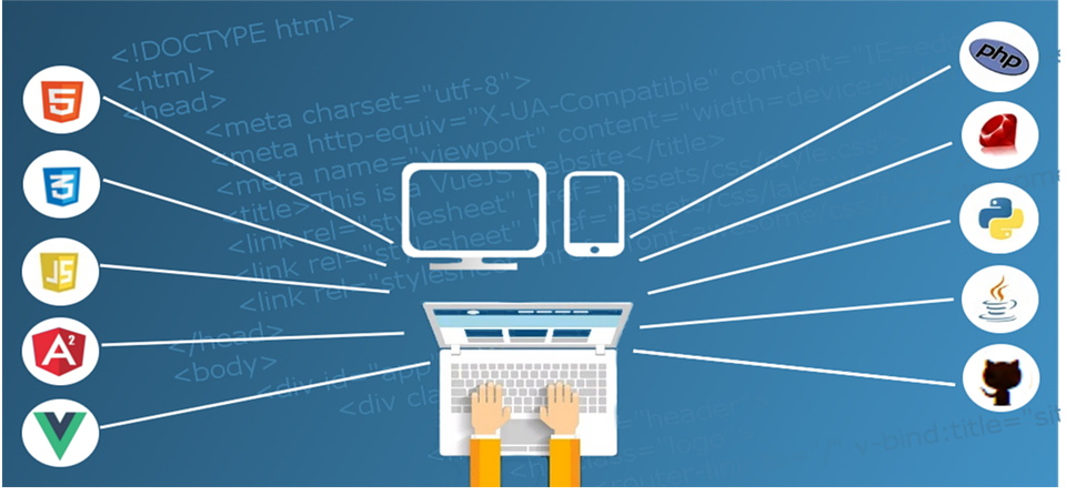 Lessons from My First Web Development Job