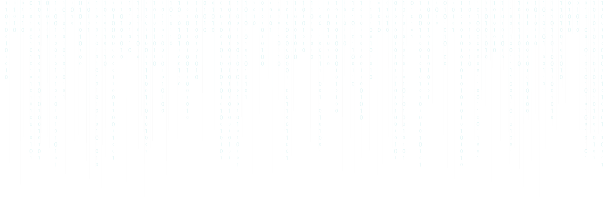 Software {&} Website Developer