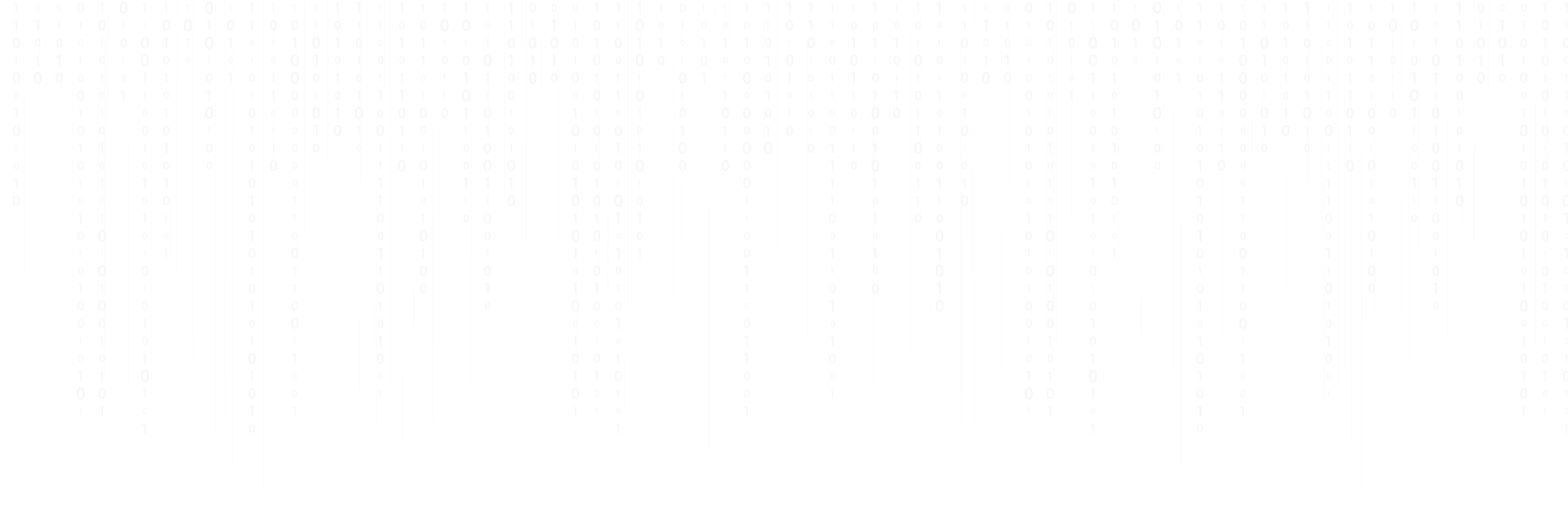 Software {&} Website Developer